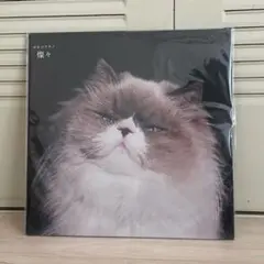 2026年最新】燦々 レコードの人気アイテム - メルカリ