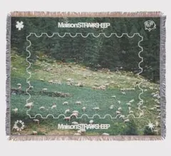 2026年最新】straysheepの人気アイテム - メルカリ