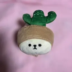 2026年最新】サボテン ぬいぐるみの人気アイテム - メルカリ