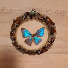 2026年最新】ブラジルモルフォ蝶壁掛けの人気アイテム - メルカリ