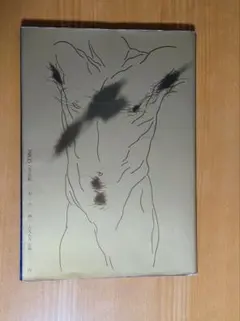 2026年最新】水の皮膚 沢田研二の人気アイテム - メルカリ