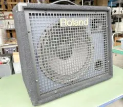 2026年最新】roland KC-100の人気アイテム - メルカリ