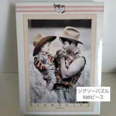 2026年最新】キム・アンダーソンパズルの人気アイテム - メルカリ