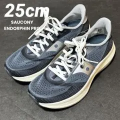 2026年最新】エンドルフィンプロの人気アイテム - メルカリ