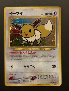 イーブイ_「ポケモンカードファンクラブ」 特製カード (500 ポイント