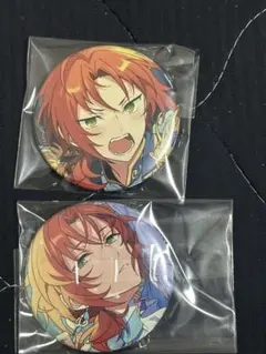 2026年最新】招募缶バッジ レオの人気アイテム - メルカリ