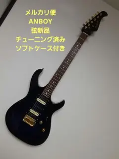 2026年最新】FUJIGEN エレキギターの人気アイテム - メルカリ