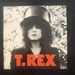 2026年最新】t-rex レコードの人気アイテム - メルカリ