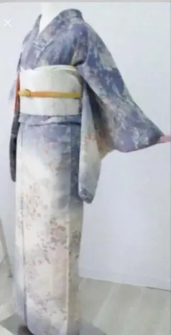 2026年最新】訪問着 セット 絞りの人気アイテム - メルカリ