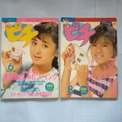 2026年最新】手芸フレンド ピチの人気アイテム - メルカリ