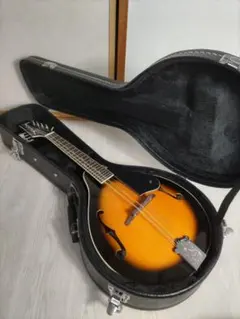 2026年最新】フラットマンドリンの人気アイテム - メルカリ