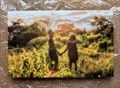 2026年最新】ヨシダナギ サインの人気アイテム - メルカリ