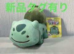 2026年最新】へんしんメタモン フシギダネの人気アイテム - メルカリ