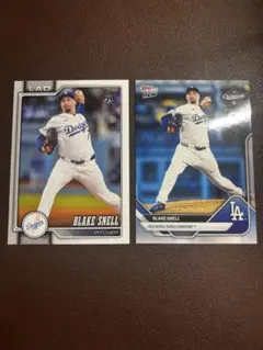 2026年最新】ブレイク・スネルの人気アイテム - メルカリ