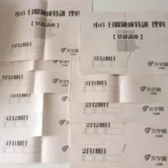 2026年最新】日曜特訓の人気アイテム - メルカリ