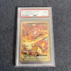 2026年最新】リザードン cp6の人気アイテム - メルカリ