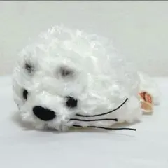 2026年最新】NAOKO SHINADA ぬいぐるみの人気アイテム - メルカリ