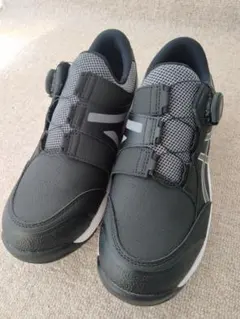 2026年最新】CP309 boaの人気アイテム - メルカリ