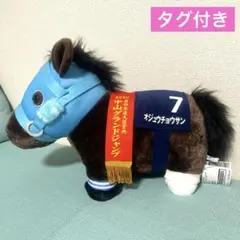 2026年最新】オジュウチョウサンの人気アイテム - メルカリ