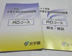 2026年最新】浜学園 小6 志望校別特訓問題集の人気アイテム - メルカリ