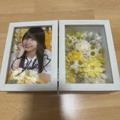 2026年最新】乃木フェス フラワーボックスの人気アイテム - メルカリ