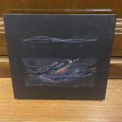 2026年最新】踊ってばかりの国 moanaの人気アイテム - メルカリ