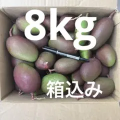 2026年最新】摘果マンゴーの人気アイテム - メルカリ