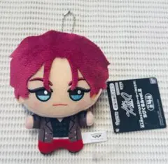 2026年最新】天堂天彦 ちびぐるみの人気アイテム - メルカリ