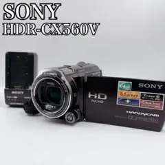 2026年最新】hdr-cx560vの人気アイテム - メルカリ
