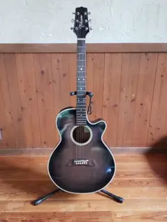 2026年最新】takamine pt 106の人気アイテム - メルカリ