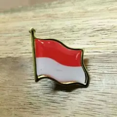 2026年最新】インドネシアパビリオンの人気アイテム - メルカリ