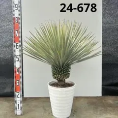 2026年最新】ロストラータ シルバーの人気アイテム - メルカリ