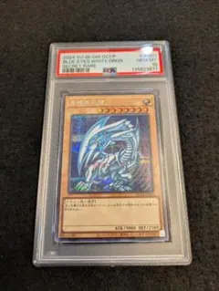 2026年最新】青眼の白龍 PSAの人気アイテム - メルカリ