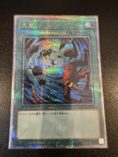 2026年最新】大嵐 クオシクの人気アイテム - メルカリ