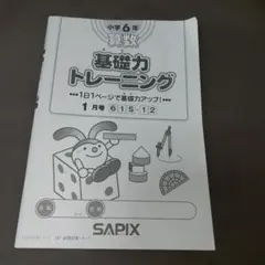 2026年最新】サピックス 基礎力トレーニング 4年の人気アイテム - メルカリ