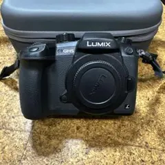 Panasonic LUMIX GH5 ＋LUMIX G 12-35mm セット - メルカリ