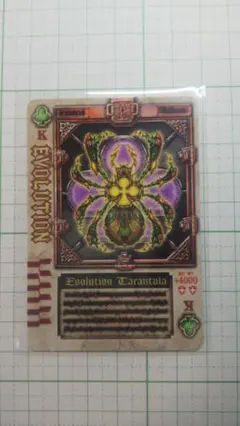 2026年最新】エボリューションタランチュラの人気アイテム - メルカリ