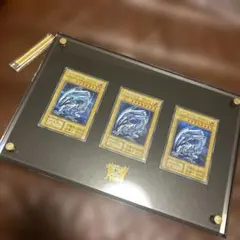 2026年最新】25th海馬セットの人気アイテム - メルカリ