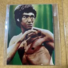 2026年最新】山勝ブルースリーカードの人気アイテム - メルカリ