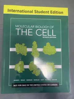2026年最新】分子細胞生物学 第7版の人気アイテム - メルカリ