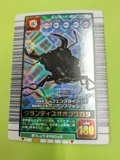 2026年最新】グランディスオオクワガタの人気アイテム - メルカリ