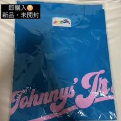 2026年最新】わっしょいCAMP tシャツ スカイブルーの人気アイテム