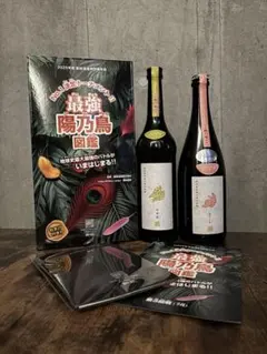 2026年最新】新政 頒布会の人気アイテム - メルカリ