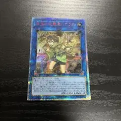 2026年最新】崔嵬の地霊使いアウス 20thの人気アイテム - メルカリ