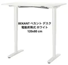 2026年最新】BEKANTの人気アイテム - メルカリ