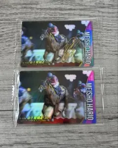 2026年最新】メイショウハリオの人気アイテム - メルカリ