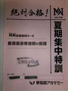 2026年最新】NN桜蔭の人気アイテム - メルカリ