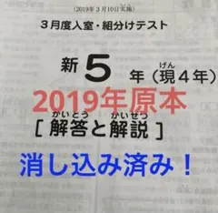 2026年最新】sapix 組分けテスト 新5年の人気アイテム - メルカリ