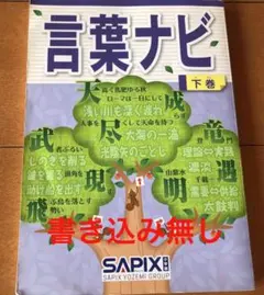 2026年最新】言葉ナビ sapixの人気アイテム - メルカリ