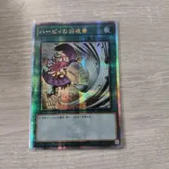 2026年最新】ハーピィの羽根帚 25の人気アイテム - メルカリ